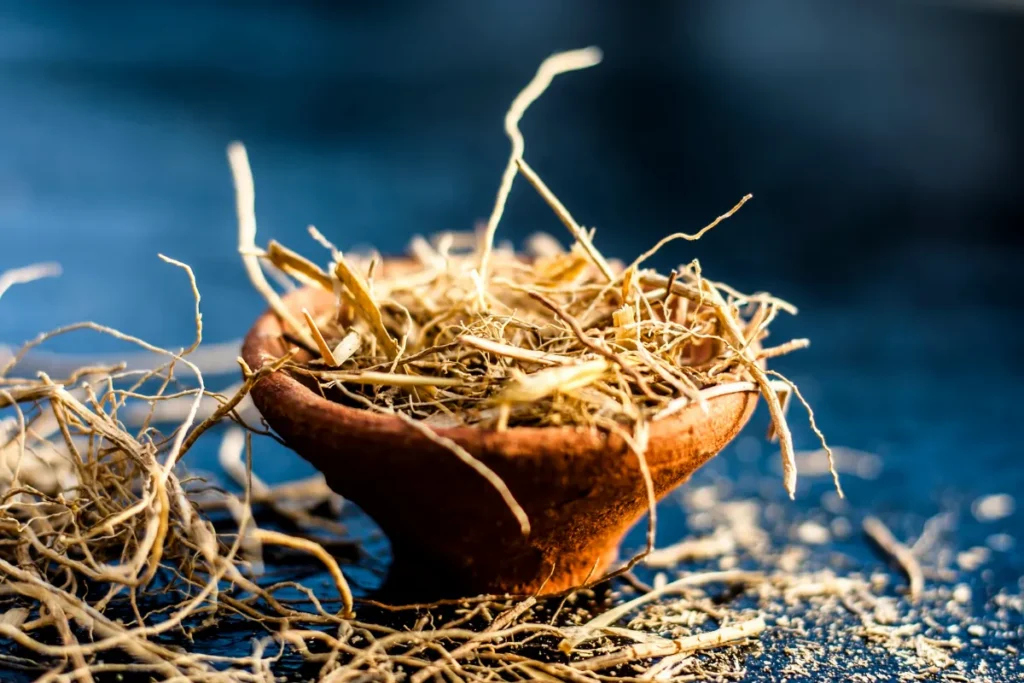 raízes secas de vetiver espalhadas ao redor de um pequeno recipiente de argila