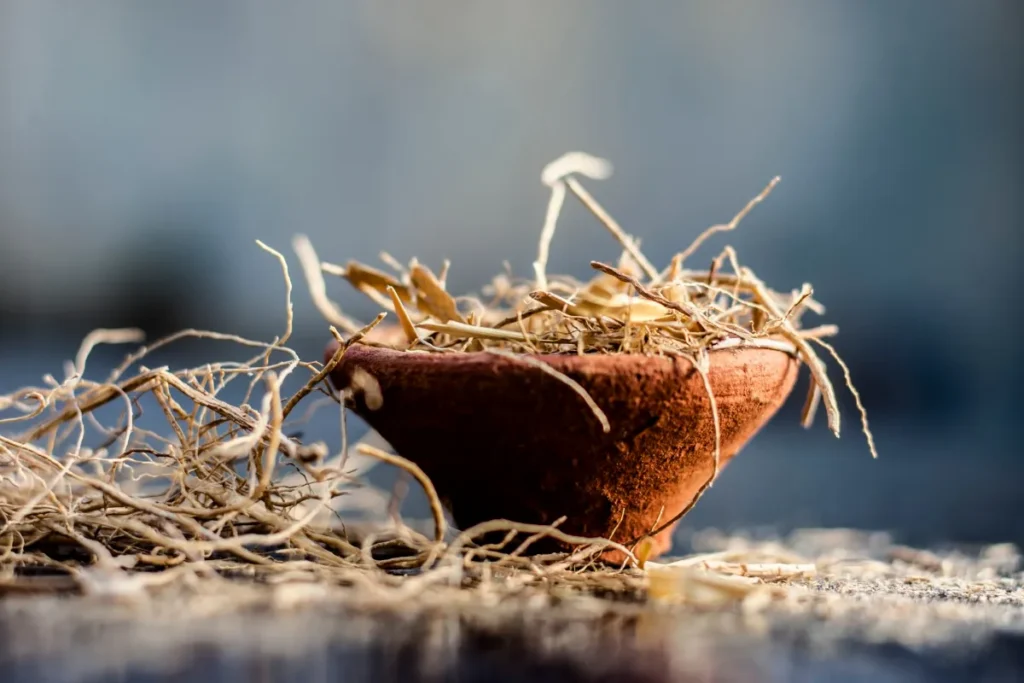 raízes secas de vetiver colocadas dentro de um pequeno recipiente de argila