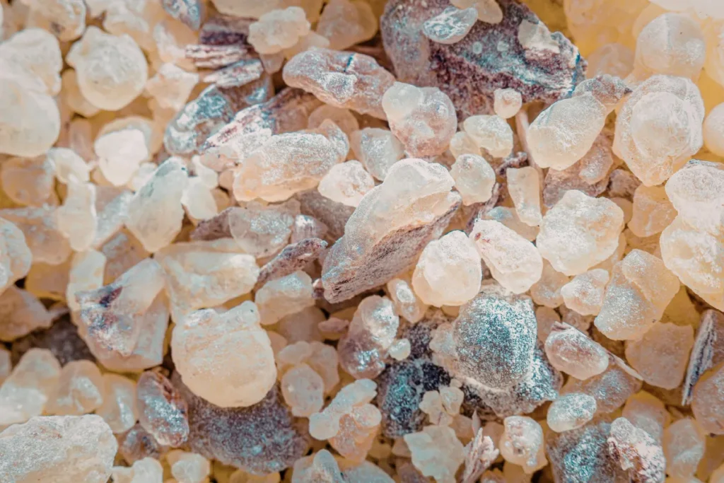 Fragmentos de resina de benjoim em tons claros e amarelados usados como matéria-prima na perfumaria.